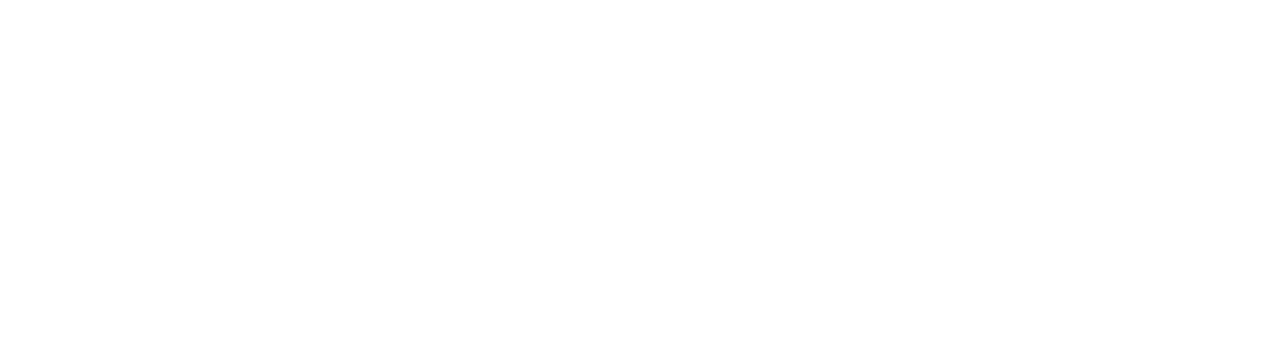 illumi-rd-feerie-noir (1)